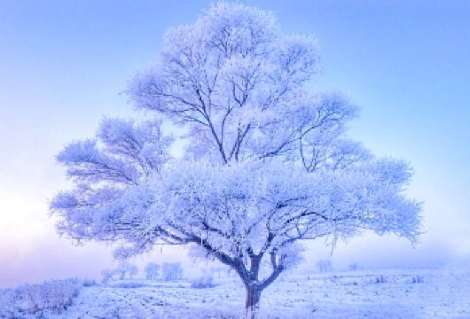 雾凇岛+长白岛一日游【6人小团〓赠乌拉火锅〓无购物】【[暖心服务]赠送吉林特色乌拉火锅，带着温暖去旅行】