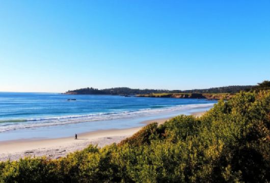 美国+旧金山+经典一号公路+鸽点灯塔一日游/行程可调-可定制【包车一日游，解锁旅行新方式！独立车辆配备经验丰富的老司机，为您量身打造专属行程。】