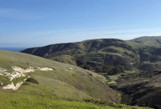 美国洛杉矶圣莫尼卡海滩+格里菲斯天文台【中文专车包车出行】【中文专车出行，景点灵活调整，打卡经典，游玩自己定义，无需等待，专属贴心服务，尽享惬意旅程】