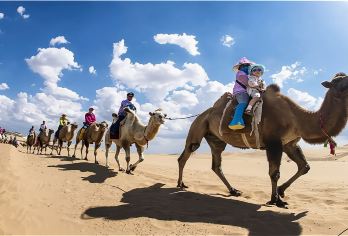 响沙湾一日游【含往返索道、仙沙岛或悦沙岛二选一 骑骆驼纯玩】【真纯玩，全程不进购物店 ，无隐形消费，】