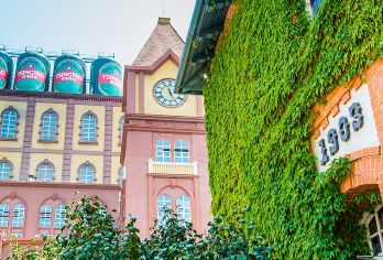 青岛啤酒博物馆+栈桥+五四+奥帆+小麦岛+八大关+出海观光【◇创新不赶早◆品质真纯玩①比低价，我们不敢也不会；比品质，我们横扫市场】