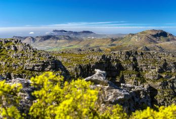 开普敦桌山国家公园一日游【桌山+好望角+企鹅海滩】【探索桌山--世界新七大自然奇观之一】