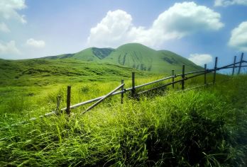 日本九州-熊本往返-大分海之卵水族馆-春日神社-大分精品游【专业行程定制，精选热门景点，高效游玩不走回头路，贴心服务保障，轻松】