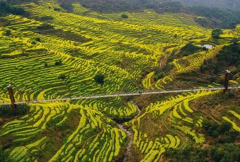 婺源婺源篁岭景区半日游【婺源起止｜篁岭纯玩半日游】【晒秋人家】