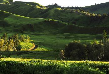 那拉提旅游风景区小车拼车一日游【[成团保证]天天发团，6人小团，舒适优先】