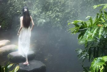 植物园+南普陀+集美学村2-8人团｜厦门精华一日游I上门接【️车队自营超靠谱，正规持证超安心，安全细节全拿捏。】