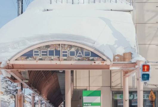 日本札幌往返旭川富良野美瑛经典网红景点打卡-可包车-精选【专属客服和本地中文司机，一家一团包车】