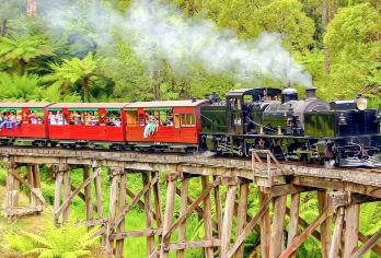 墨尔本普芬比利蒸汽小火车+企鹅岛一日游【中文司导/天天出发】【[时光穿梭 · 蒸汽之旅]搭乘历史悠久的普芬比利蒸汽火车，穿梭在翠绿的丹迪农山脉，体验澳洲的自然生态】