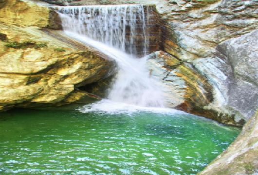 牛背梁国家森林公园一日游【西安旅游包车+畅游不限时】【[一对一包车]专车上门接送，车辆费用全含】