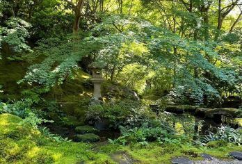 日本京都-琉璃光院-三千院.岚山巍峨野小火车-红叶巡礼红叶季【专业行程定制，精选热门景点，高效游玩不走回头路，贴心服务保障，轻松】