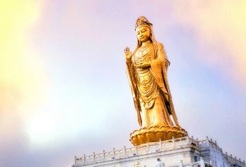 舟山普陀山风景区一日游丨一价全含丨含门票+船票+午餐+讲解【精心策划行程，全程当地土著，土著导游陪同讲解，必到景点】