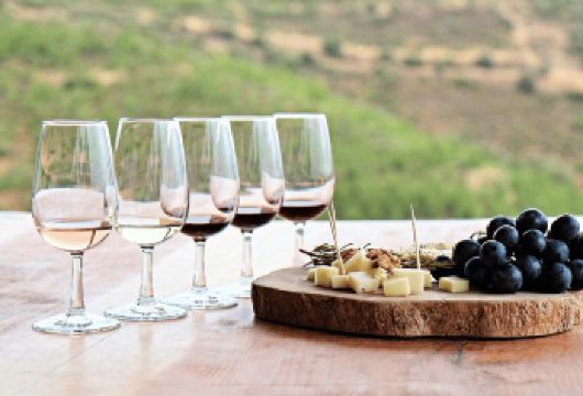 澳大利亚新南威尔士悉尼猎人谷古老酒庄豪华品酒一日游[含品酒]【核心服务之--澳大利亚一站式旅游平台，精心设计的境内旅游】