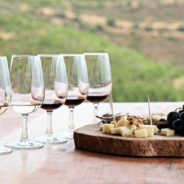 澳大利亚新南威尔士悉尼猎人谷古老酒庄豪华品酒一日游[含品酒]