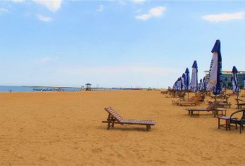 天津东疆亲海公园+东疆湾沙滩景区一日游【6人内小团 集合】【可选上门接送、当日机场/火车站接送、可带行李！】