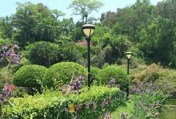 南山文化旅游区一日游【海上观音-可选大小洞天/天涯海角】【[品质保证]纯玩0购物，天天发团；往返接送，自由选择班次，轻松游玩】