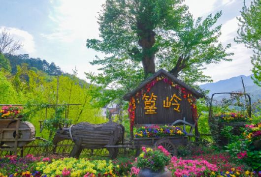 婺源篁岭景区半日游（含索道）【婺源起止】【纯玩无购物】