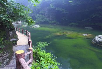 云台山一日游【云台山直通车◆郑州出发】【畅游5A级景区云台山：红石峡、小寨沟、猕猴谷等精华景点】