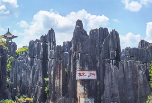 石林纯玩一日游：二环内接+导游+午餐【[一价全含]纯玩品质旅游线路，我们承诺不进购物店，含5A级石林景区门票+专业导游+午餐+往返车位费】