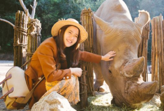 普洱太阳河森林公园一日游【6人小团+亲近大自然+纯玩无购物】【与小熊猫亲密接触，原始森林公园与网红小熊猫亲密拍照；】