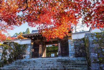 日本京都-琉璃光院-三千院-贵船神社-红叶满天 京都巡礼。【专业行程定制，精选热门景点，高效游玩不走回头路，贴心服务保障，轻松】