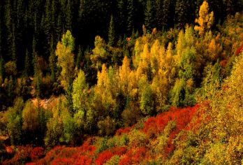 张掖平山湖大峡谷马蹄寺一日游【2-6人小团市区上门免费接送】【马蹄寺的石窟，不仅仅是一个佛教圣地，更是一个充满神秘和魅力的艺术殿堂】
