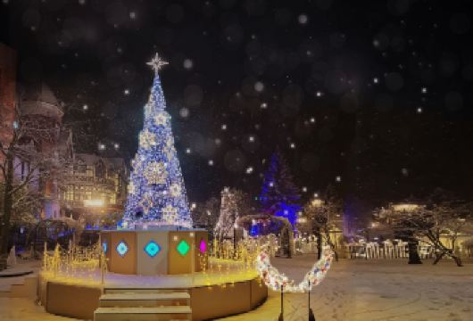 日本北海道札幌出发：小樽天狗山+商店街+小樽运河一日游【专车服务+行程可调+酒店接送+中文服务】