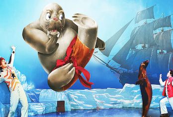 大连老虎滩海洋公园+棒棰岛一日游【2-6人小团；上门接送】【我们不一样；棒棰岛VIP专车直接驶入景区；特别赠送：帆船出海+海底大峡谷；】