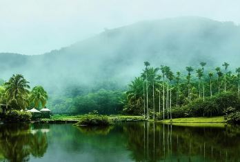 海南槟榔谷黎苗文化旅游区+呀诺达热带雨林一日游【专车+陪游】【[一对一包车]专人专车上门接送】