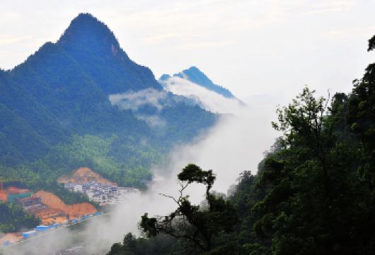 三清山风景区一日游【婺源县城起止三清山包车一日游】门票自理【一单一团 价格透明】