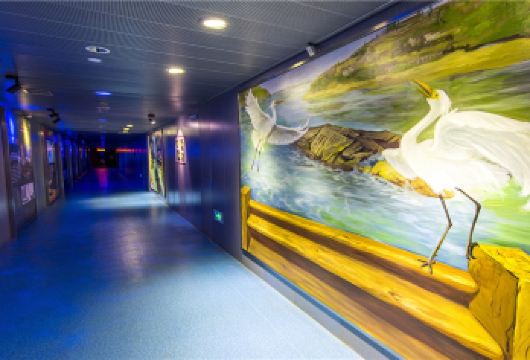 【包车游】816工程景区+白鹤梁水下博物馆一日游-上门接送【整个工程体量庞大，气势磅礴，它承载浓厚的红色历史，有小孩的朋友一定要去感受它的历史；】