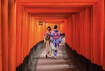 日本札幌定山溪-白色恋人公园-伏见稻荷大社【北海道中文专车】【中文专车出行，景点灵活调整，打卡经典，游玩自己定义，无需等待，专属贴心服务，尽享惬意旅程】