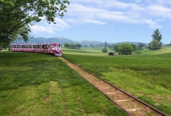 木兰草原一日游【私家团/包车游-家门口出发-7座商务车出行】【[行程特色]VIP一对一包车服务 定制游 不赶行程 无须拼车 自由随心】