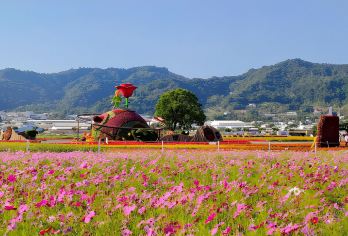 台湾台中出发+中社花海/高美湿地/彩虹眷村/+可定制行程【[高品质包车服务]舒适出行，全程安心便捷】