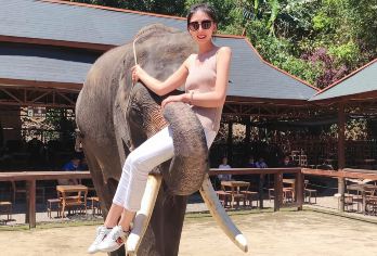 【高概率观象】野象谷亲子纯玩一日游丨专为家庭设计丨金牌向导【[10点晚出发]当地权威一手地接，专业经营纯玩，正规运营车辆、持证上岗司机，规范操作，您安心出游即可】