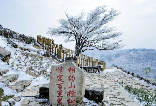 宜昌百里荒滑雪场一日游【高山雪源 本土雪场 送滑雪5件套 】【山楂树之恋取景地-百里荒景区+本土雪源百里荒滑雪场组合，滑雪+赏景体验更佳！】