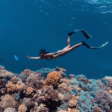 彩色峡谷 & 蓝洞 & 达哈布之旅（沙姆沙伊赫出发）套餐可选