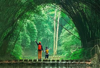 蜀南竹海1日游｜动车往返｜8人精致小团｜邂逅清新竹韵【[竹景壮观]1日内尽览世界上集中面积较大的天然竹林景区，一望无际的绿色海洋。】