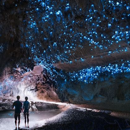 新西兰奥克兰怀托摩萤火虫洞+汉米尔顿花园一日游