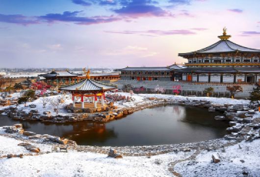 中国唐城一日游【唐城影视基地+含门票+往返车费】【唐城影视基地+含门票+往返车费】