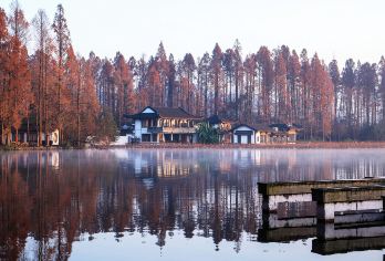 杭州大运河+清河坊街+断桥残雪+曲院风荷+城隍阁景区+苏堤【10小时vip服务】