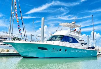 深圳较场尾游艇帆船中心一日游【游艇包船+聚会/派对/团建】【[游艇嗨玩]聚会、派对、团建、求婚等多种玩法；】