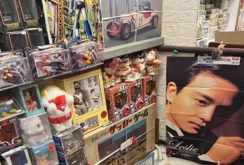 15人团丨寻味香港漫游九龙市井风情半日游丨深水埗+庙街+小食【漫游九龙市井风情：深水埗--油麻地！】