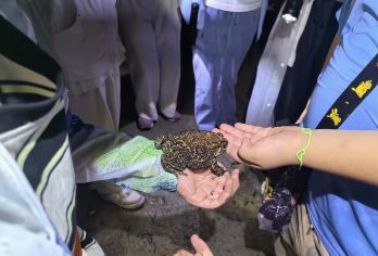 西双版纳天源虫谷一游·探秘昆虫丨纯玩无购物丨资深科普员讲解【[科普研学]资深科普员讲解，探秘昆虫世界！】