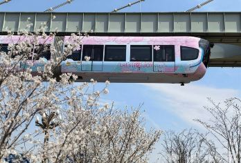 武汉大学+光谷空轨+古德寺+黄鹤楼红墙打卡+夜上黄鹤楼一日游【8人小团、精品线路、网红精华、旅拍打卡、高科技体验。】