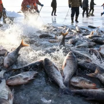 【查干湖冬捕包车10h畅玩】|准确定位捕鱼点+全程暖车待命