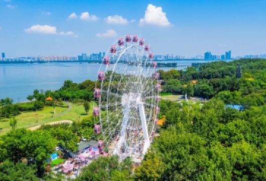 【2-6人小团】东湖之眼摩天轮+东湖绿道+武汉大学夜游【[服务保障]24小时贴心管家+车载移动电源+矿泉水】