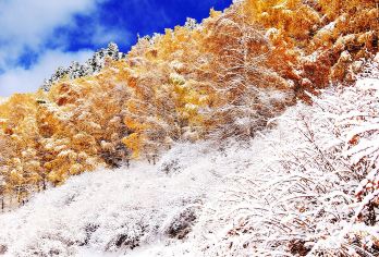 新疆天山天池半日游【包车游·纯玩·可上门接送】【1，达人带队，精选线路，深度体验，创新玩法，贴心管家，摄影帮手，路上美景随走随停！】
