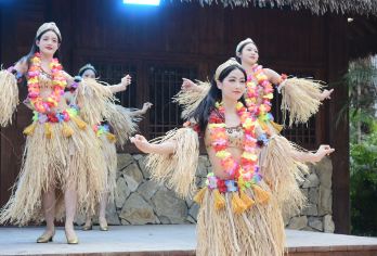 广东千古情+佛山祖庙一日游【岭南舞狮表演@实景演出【私家团】【私家团丨小众玩法丨独立包车丨车型可选丨优选行程丨管家服务丨上门接送】