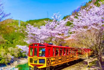 【京都&奈良一日游】岚山小火车&奈良公园&伏见稻荷大社一日游【中文导游：热情友好，经验丰富，为您提供专业细致的导览服务。】