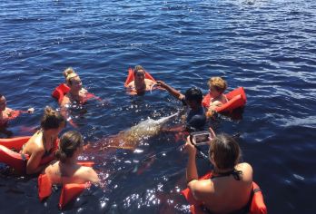 巴西 马瑙斯出发亚马孙河一日游(小团+接送+导游+午餐)【与粉红色河豚亲密互动，探访原住民部落，感受传统仪式】